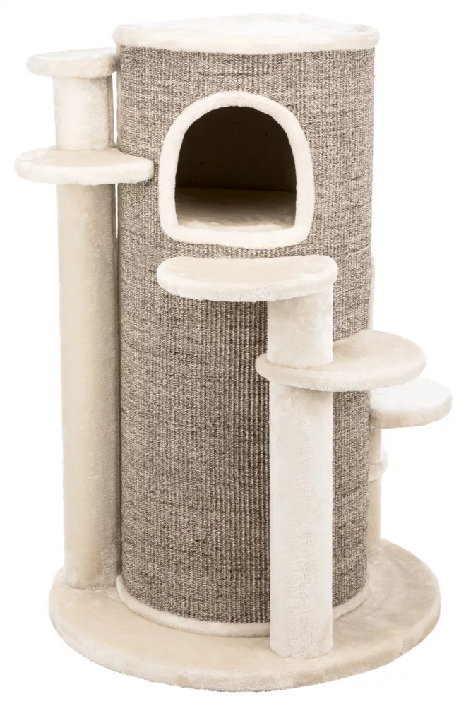 The Maine Coon Oskar Barrel
